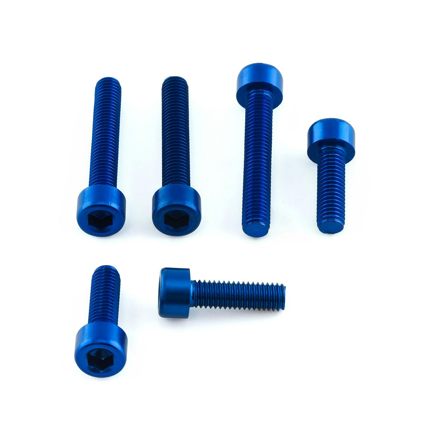 アルミ フューエルキャップキット Aprilia RSV Mille TOAP100B (CDC) ボルトキャップ