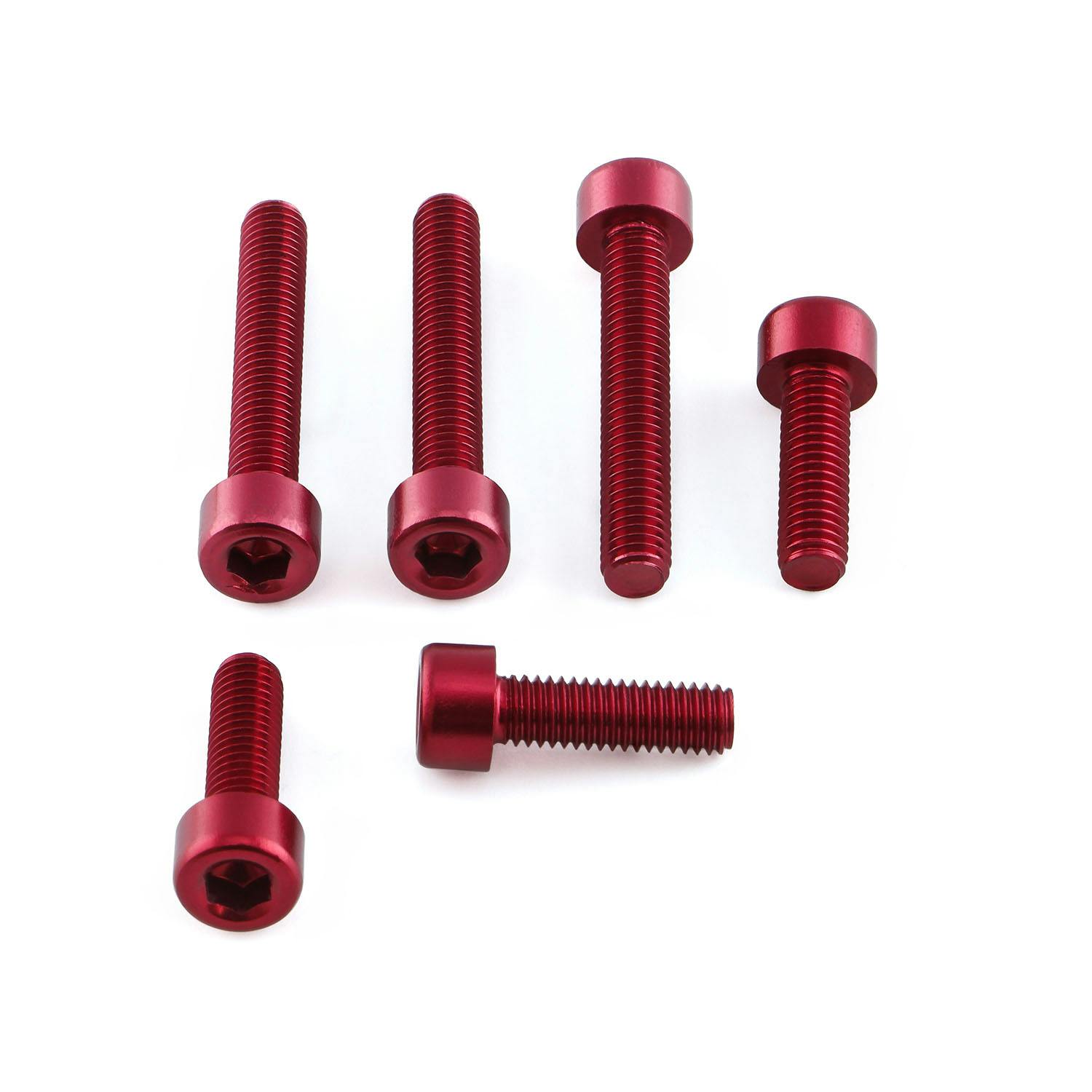 アルミ フューエルキャップキット Aprilia RSV Mille TOAP100R (CDC) ボルトキャップ