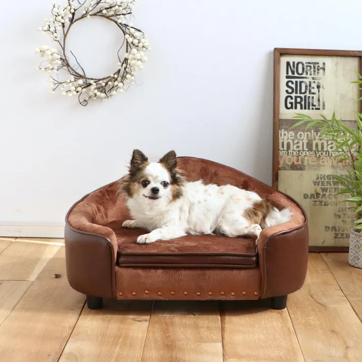PETTO ペット ペペ ブラウン(BR) ペット用品 ペット用ソファ 付き 脚取り外し かわいい 布製 ネコ 猫 ねこ 小型犬 おしゃれ ペペ 326843 猫ソファ 収納 汚れにくい【別送品】