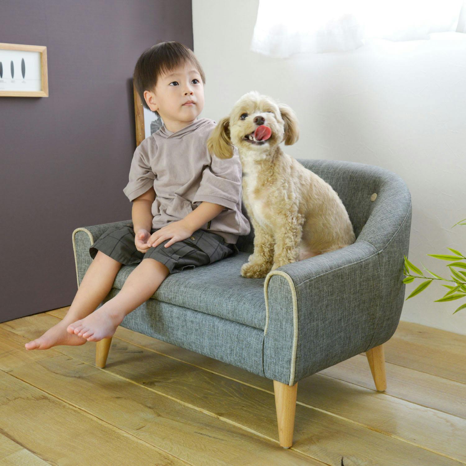 犬猫　ソファー　取り外し可　洗える　グレー　北欧　ペットソファー　子供用ソファー 犬猫 ソファー 取り外し可 洗える グレー 北欧 ペットソファー
