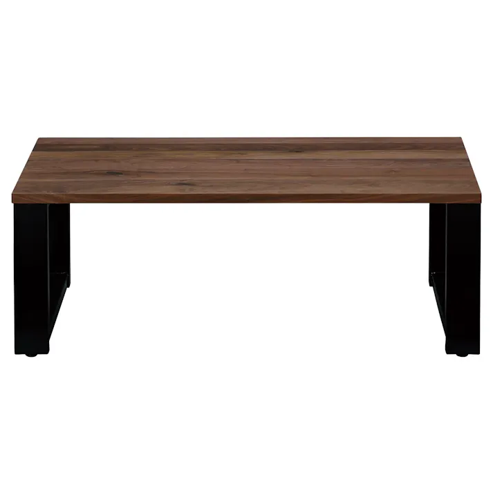 NIPPONAIRE(ニッポネア) センターテーブル デクタ ウォールナット/スチール脚Aブラック センターテーブル/110x60cm ウォールナット材 無垢材 国産 リビング 418358 ローテーブル リビング机 机【別送品】