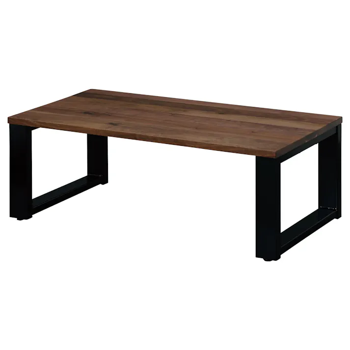 NIPPONAIRE(ニッポネア) センターテーブル デクタ ウォールナット/スチール脚Aブラック センターテーブル/110x60cm ウォールナット材 無垢材 国産 リビング 418358 ローテーブル リビング机 机【別送品】