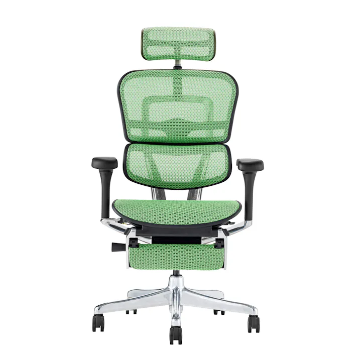 Ergohuman2(エルゴヒューマン2) オフィスチェア EHP2-LPL-DR-BF-GN 新基盤タイプ プロ2 オットマン内蔵/ヘッドレスト付き BKフレーム グリーン 445400 メッシュチェア デスクチェア 書斎椅子【別送品】