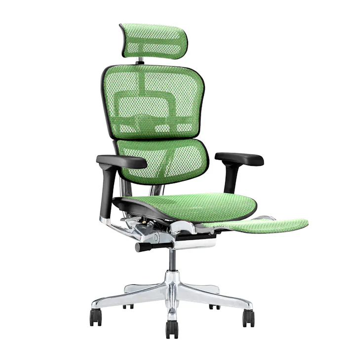 Ergohuman2(エルゴヒューマン2) オフィスチェア EHP2-LPL-DR-BF-GN 新基盤タイプ プロ2 オットマン内蔵/ヘッドレスト付き BKフレーム グリーン 445400 メッシュチェア デスクチェア 書斎椅子【別送品】