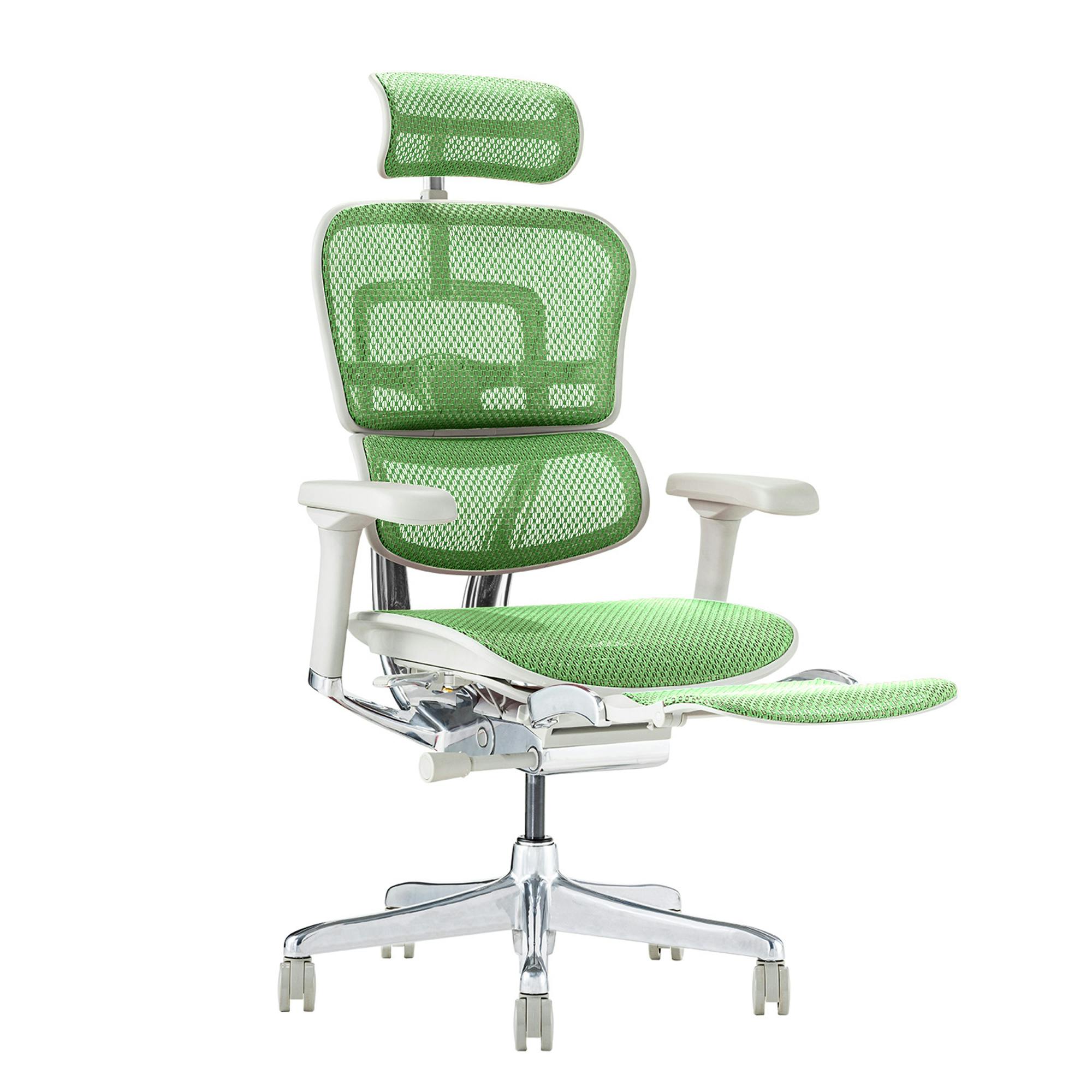 Ergohuman2(エルゴヒューマン2) オフィスチェア EHP2-LPL-DR-GF-GN 新