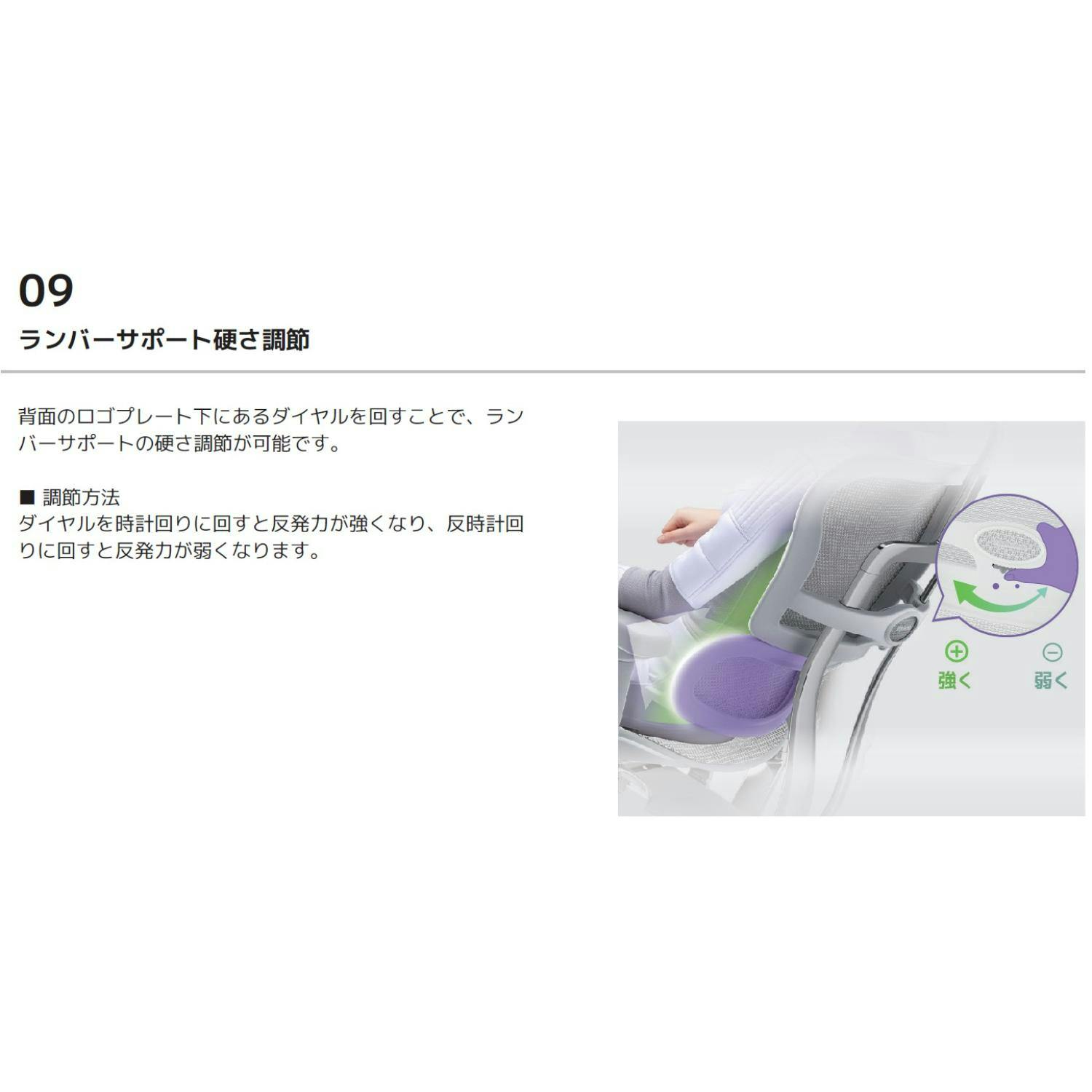 Ergohuman2(エルゴヒューマン2) オフィスチェア EHP2-HAM-DR-BF-BL 新