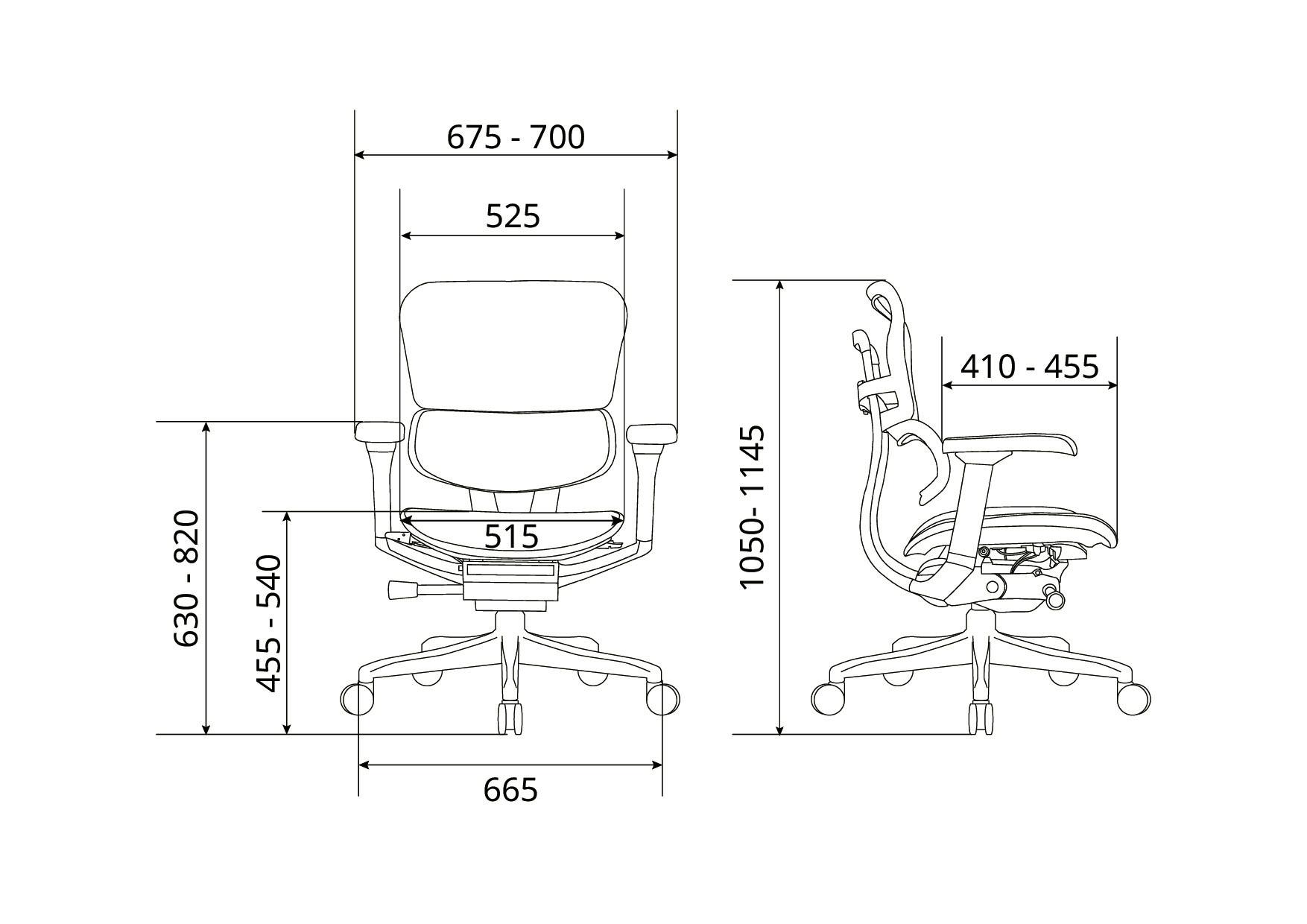 Ergohuman2(エルゴヒューマン2) オフィスチェア EHP2-LAM-DR-BF-BK 新
