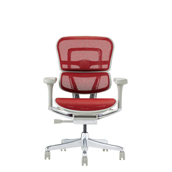 Ergohuman2(エルゴヒューマン2) オフィスチェア EHP2-LAM-DR-GF-RD 新基盤タイプ プロ2 ヘッドレスト無し GYフレーム レッド 445423 メッシュチェア デスクチェア 書斎椅子【別送品】