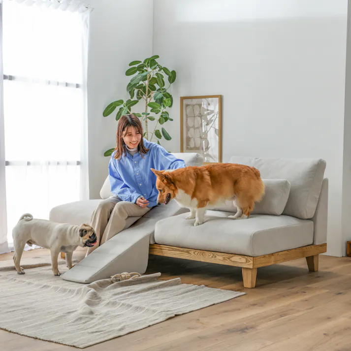 関家具 PETTO フラッフィル2 ソファ 幅184cm ペットスロープ テーブル付き ストーンホワイト 445580(配送方法:開梱設置) 4550140455803【別送品】