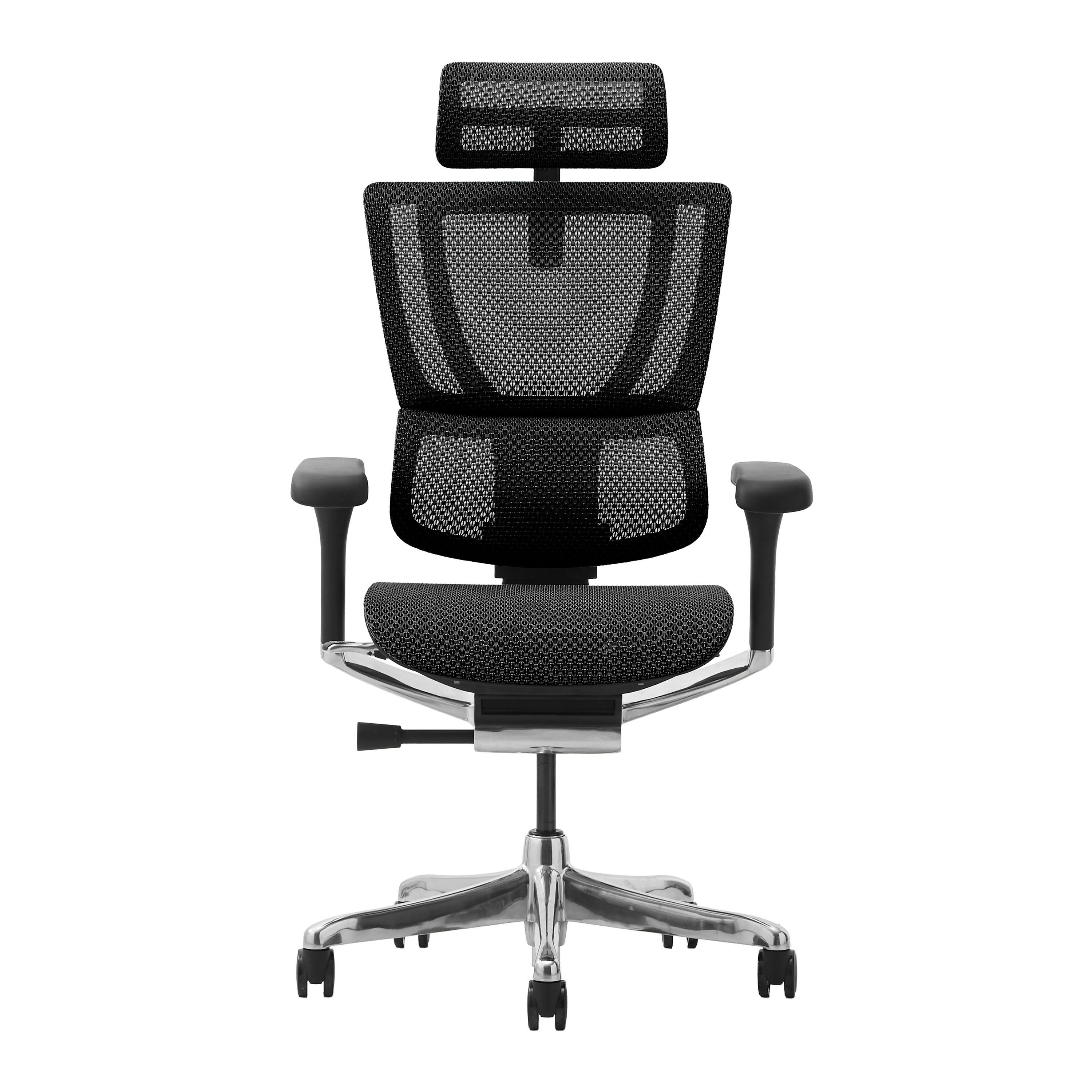 Ergohuman エルゴヒューマン フィット2 FIT2-HAM-DR-BF-BK 新基盤タイプ オットマン無し ブラックフレーム ブラック ワークチェア デスクチェア ゲーミングチェア 454402【別送品】