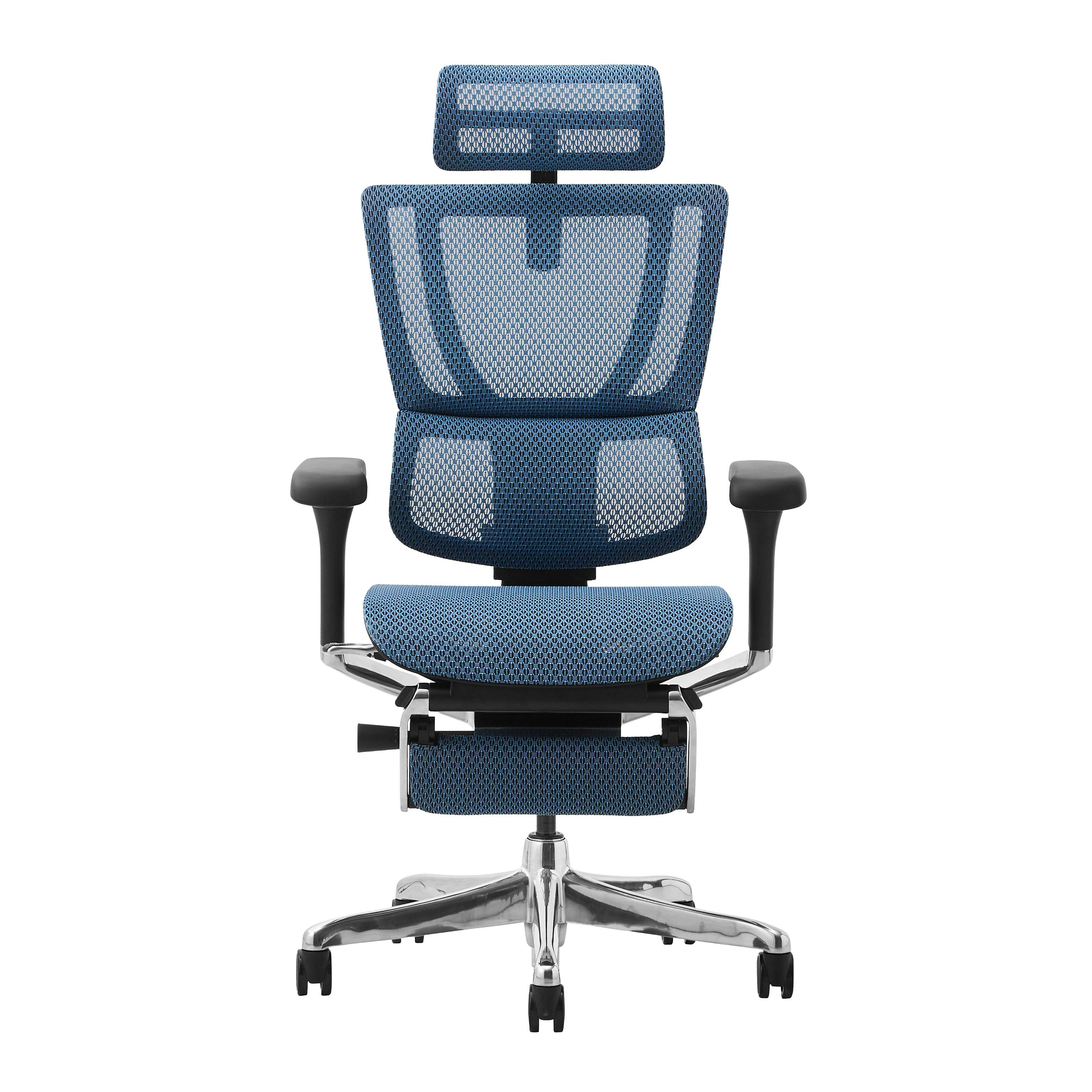 Ergohuman エルゴヒューマン フィット2 FIT2-LPL-DR-BF-BL 新基盤