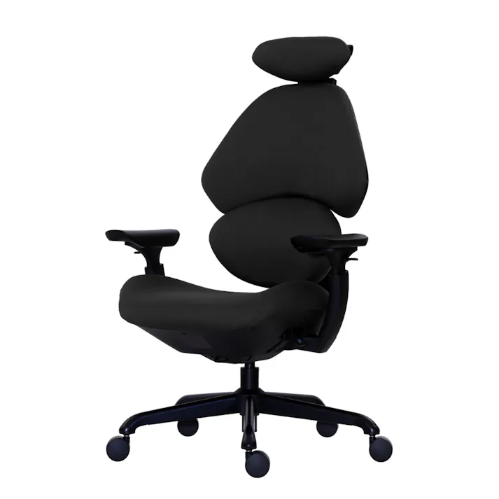 Contieaks ゲーミングチェア フランカー ブラック ワークチェア デスクチェア ゲーミングチェア 463608【別送品】