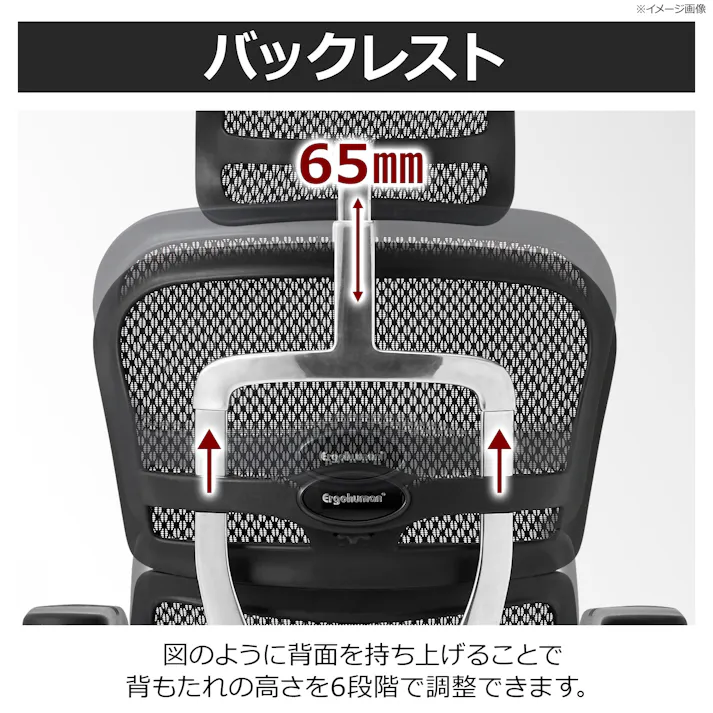 オフィスチェア Ergohuman ホワイト ゲーミングチェア デスクチェア 書斎椅子 EHP2-HAM-5D-DR-GF-WH 507929【別送品】