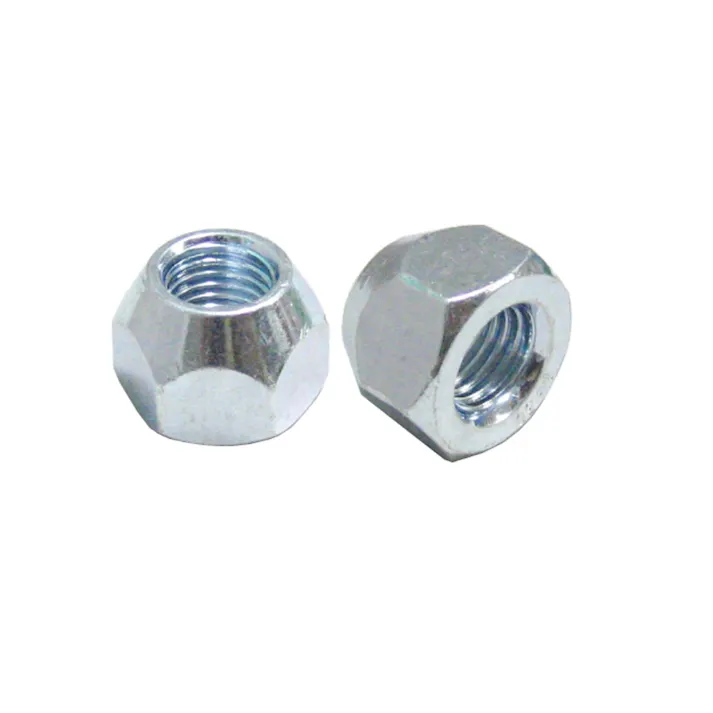 (株)チップトップジャパン REMA TIPTOP 貫通亜鉛メッキラグナット12X1.5(21HEX) 100個 001H-100N CZ02737 (CDC)【別送品】