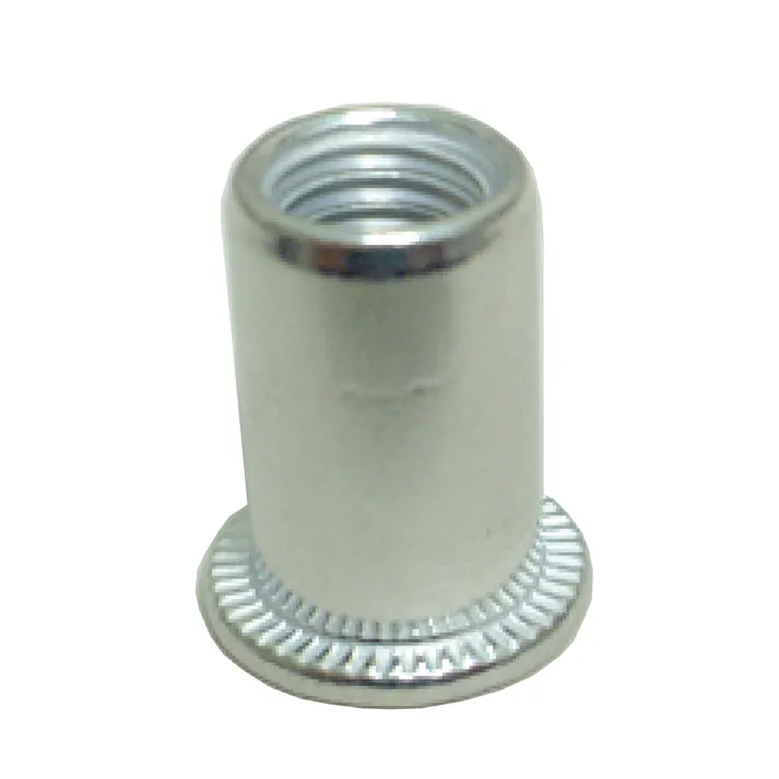 レックス アルミナットM6(30個) RT166-009M6-30 CZ03190 (CDC)【ネット注文限定・別送品】