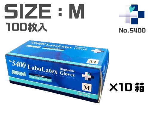 {ebNXO[u No5400 M 100×10 tG{X(pE_[t[) VRSf O^Cv ʍl[VH 304-001 X|CgEW[SEr