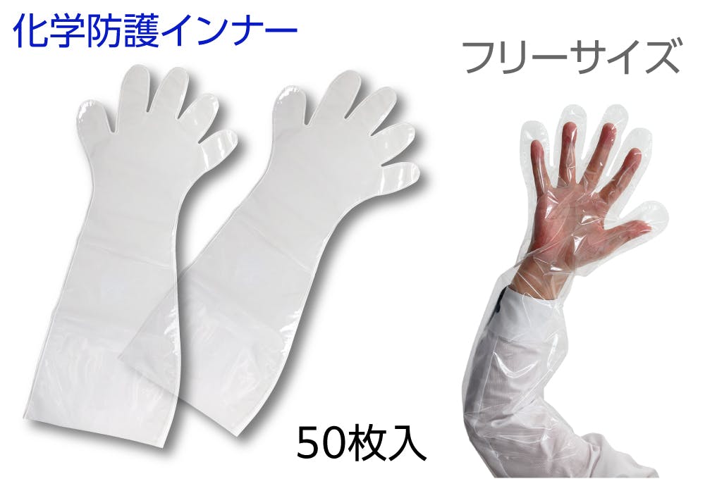 youwh O 50 304-0013355 ĝĎ