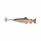 ダルトン DULTONリトル フィッシーズ ブラウントラウトLITTLE FISHES BROWN TROUT Y-0634 4997337090841【別送品】