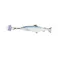ダルトン DULTONリトル フィッシーズ サーモンLITTLE FISHES SALMON Y-0635 4997337090858【別送品】