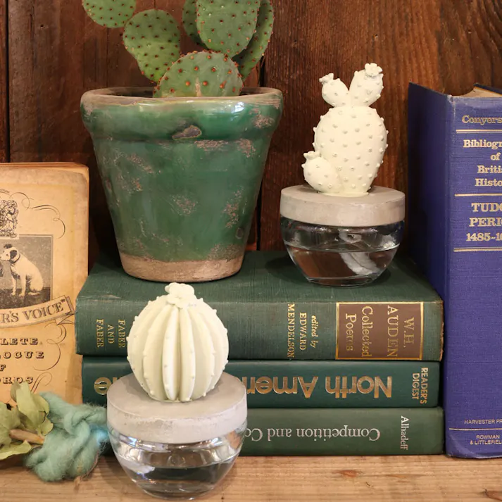 ダルトン DULTONカクタス フレグランス ディフューザー ACACTUS FRAGRANCE DIFFUSER A E.PEONY G675-824A-EP 4997337682411【別送品】