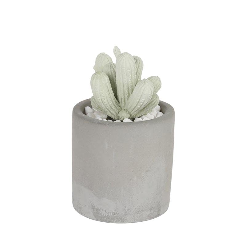 ダルトン DULTONカクタス フレグランス ディフューザーCACTUS FRAGRANCE DIFFUSER S. FLOWER G875-959-SF 499 ウォールステッカー ダルトン DULTONカクタス フレグランス ディフューザーCACTUS FRAGRANCE DIFFUSER S. FLOWER G875-959-SF 499 ウォールステッカー