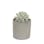 ダルトン DULTONリトル ジェム フレグランス ディフューザーLITTLE GEM FRAGRANCE DIFFUSER W.LILY G875-959-WL 4997337896016【別送品】