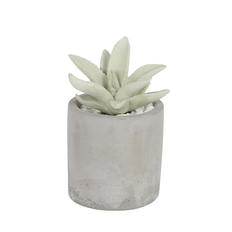ダルトン DULTONアロエ フレグランス ディフューザーALOE FRAGRANCE DIFFUSER C. GRASS G875-959-CG 4997337 ウォールステッカー ダルトン DULTONアロエ フレグランス ディフューザーALOE FRAGRANCE DIFFUSER C. GRASS G875-959-CG 4997337 ウォールステッカー