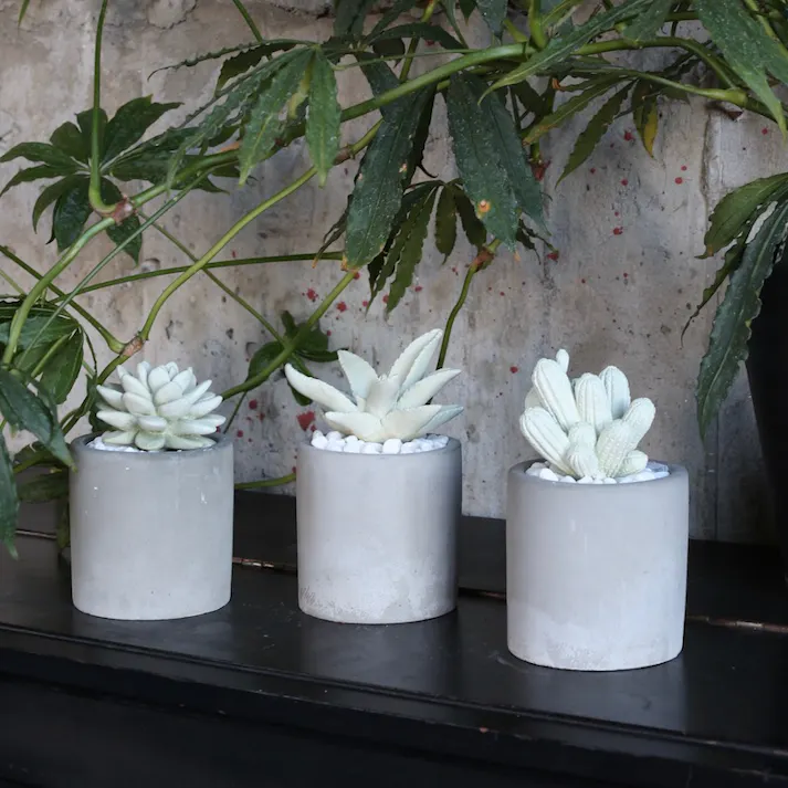 ダルトン DULTONアロエ フレグランス ディフューザーALOE FRAGRANCE DIFFUSER C.GRASS G875-959-CG 4997337896115【別送品】