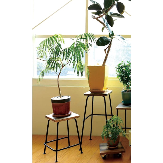 KOEKI HangOut PLT Plants Stool PLT40STMG 4933178107263【別送品】