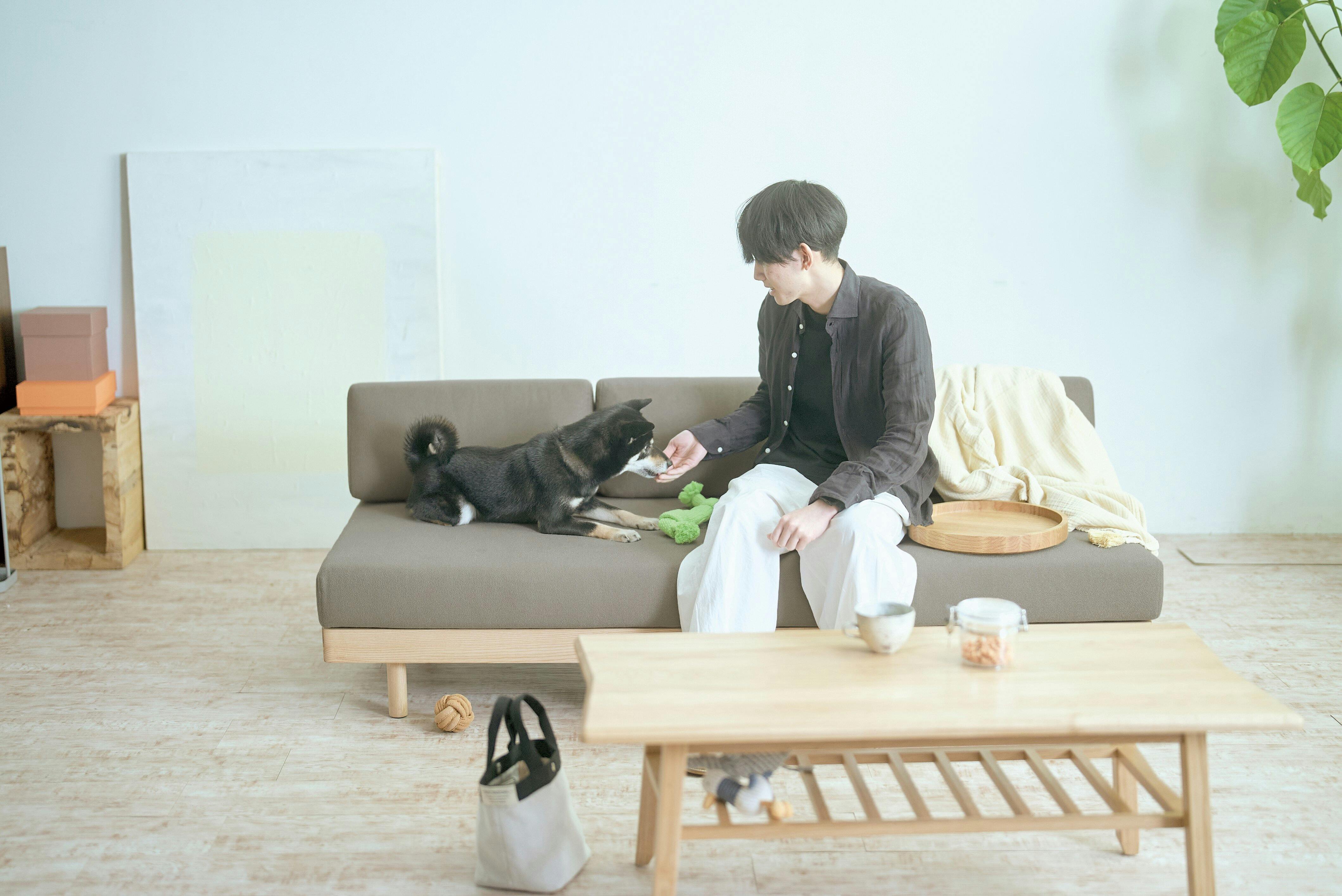 完成品 梱包配送 送料込み】ソーデルハムン カウチソファ デイベッド