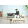 KOEKI 弘益 SIEVE デイベッド ソファ ALL-SF024 morning daybed sofa(LGR) ライトグレー 簡易組み立て 2人掛け 3人掛け ソファーベッド ペット対応生地 水洗い可能 ひっかきに強い ナチュラル 北欧風 ALLSF024LGR【別送品】
