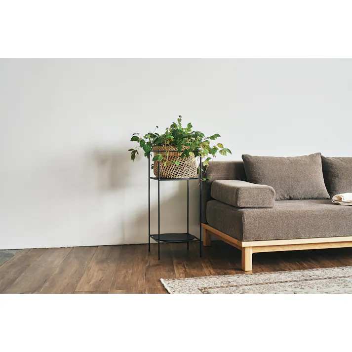 SIEVE SVE-PR001S Antenna Plants Rack Ssize ブラック 30×30×70 ラック 棚 観葉植物 スタンド 消毒液スタンド SVEPR001SBK【別送品】