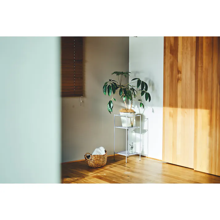 SIEVE SVE-PR001S Antenna Plants Rack Ssize グレー 30×30×70 ラック 棚 観葉植物 スタンド 消毒液スタンド SVEPR001SGR【別送品】