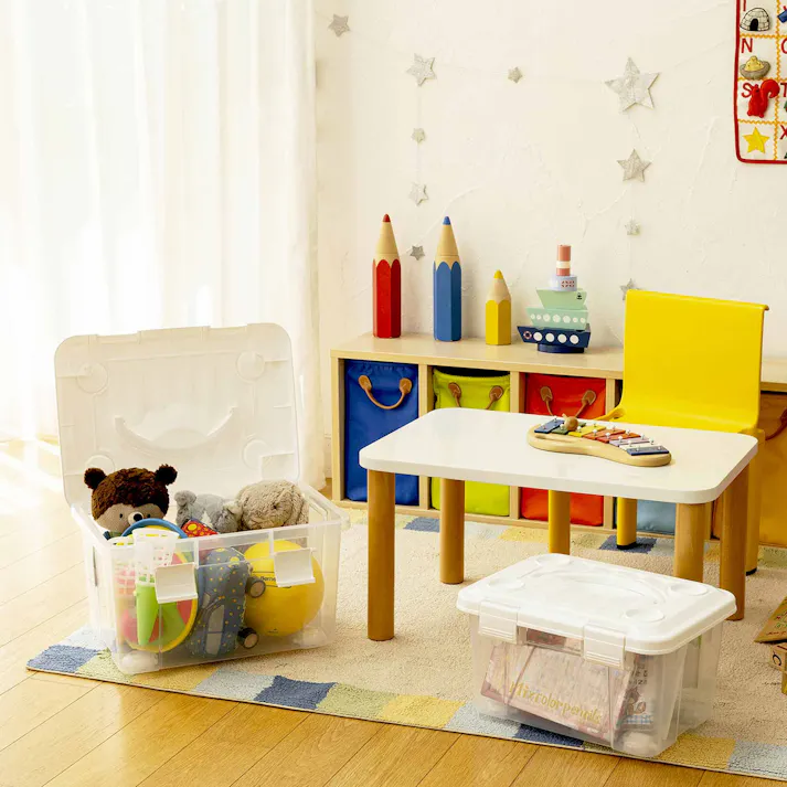 天馬 プロフィックス フリーボックス10 ハンドル付 持ち手付き 多用途 衣類収納ケース 4904746081360【別送品】