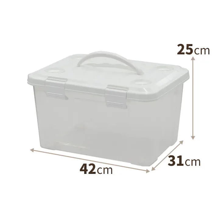 天馬 プロフィックス フリーボックス20 ハンドル付 プラスチックボックス フタ付きコンテナ 衣類収納ケース 4904746081377【別送品】