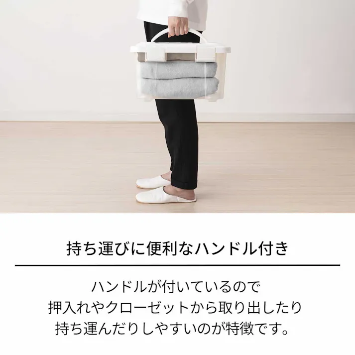 天馬 プロフィックス フリーボックス20 ハンドル付 プラスチックボックス フタ付きコンテナ 衣類収納ケース 4904746081377【別送品】