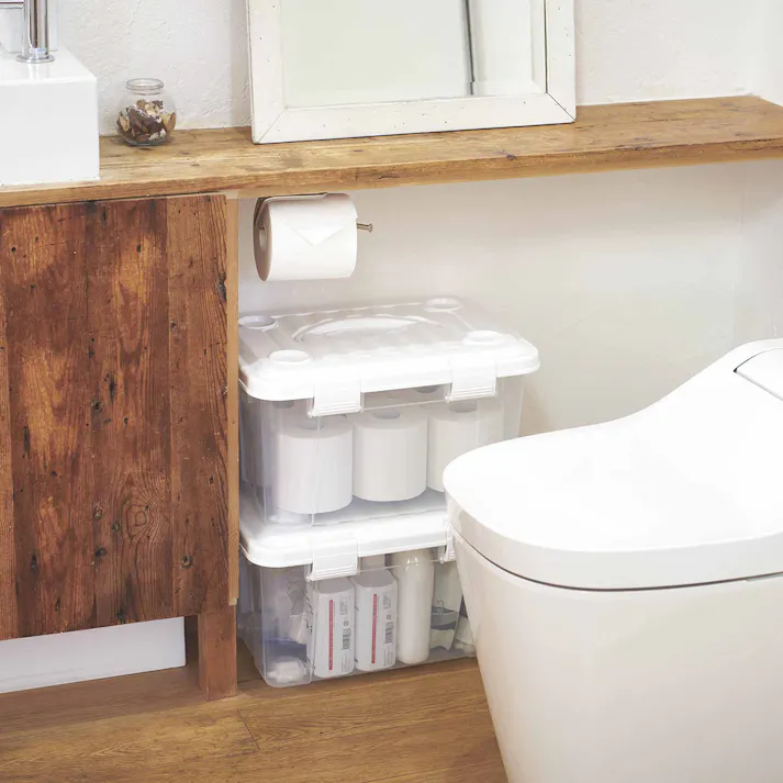 天馬 プロフィックス フリーボックス20 ハンドル付 プラスチックボックス フタ付きコンテナ 衣類収納ケース 4904746081377【別送品】