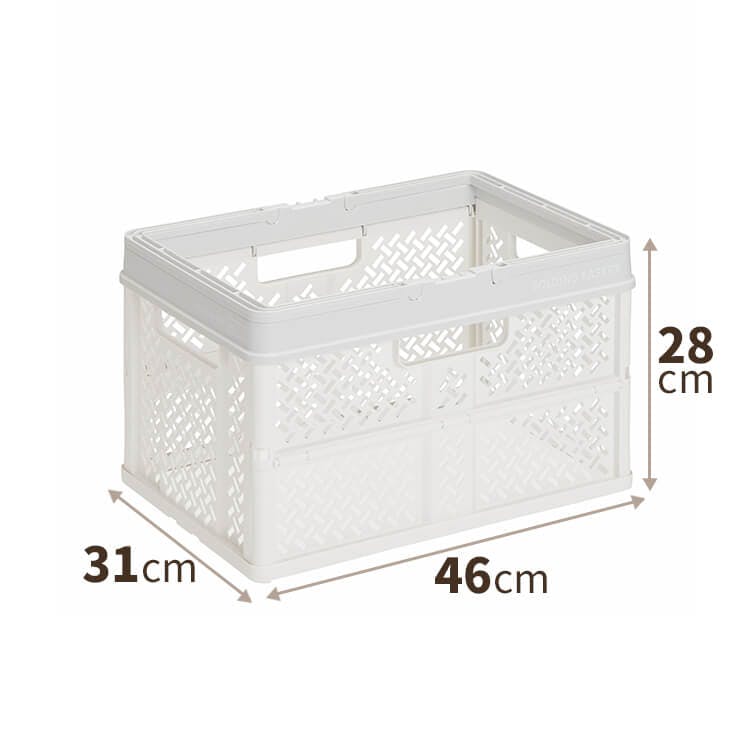 天馬 プロフィックス 折りたたみバスケットハンドル付き L