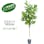 GREEN COFFRET アルテシマ180cm 人工観葉植物 フェイクグリーン インテリアグリーン JT-1002-02-1-180【別送品】