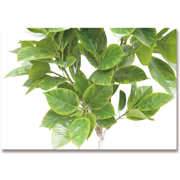 GREEN COFFRET アルテシマ180cm 人工観葉植物 フェイクグリーン インテリアグリーン JT-1002-02-1-180【別送品】