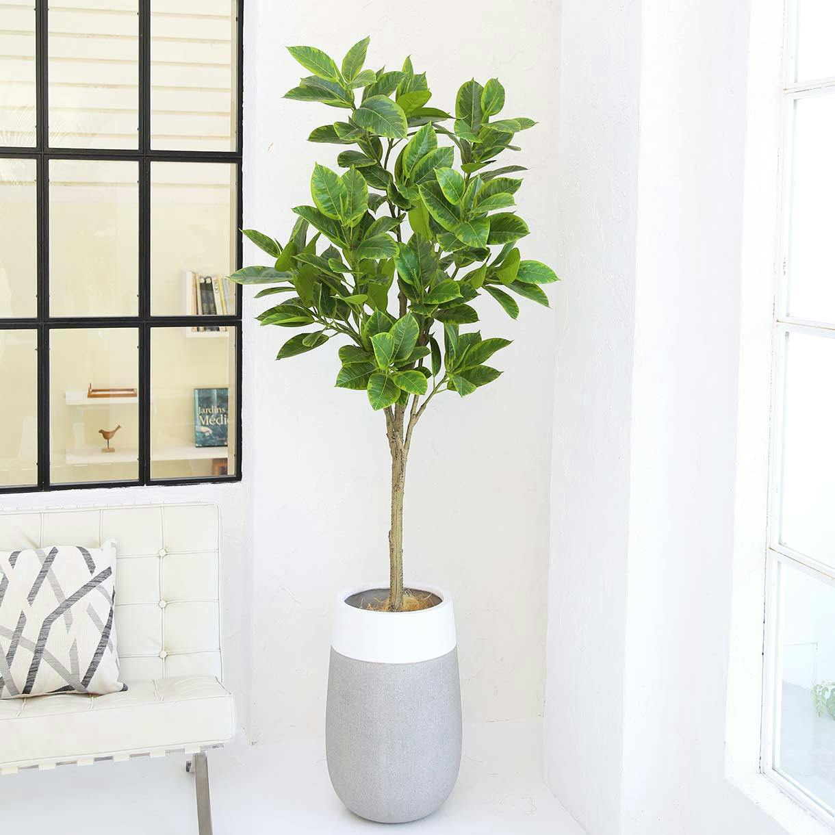 GREEN COFFRET アルテシマ180cm 人工観葉植物 フェイクグリーン GREEN COFFRET アルテシマ180cm 人工観葉植物 フェイクグリーン