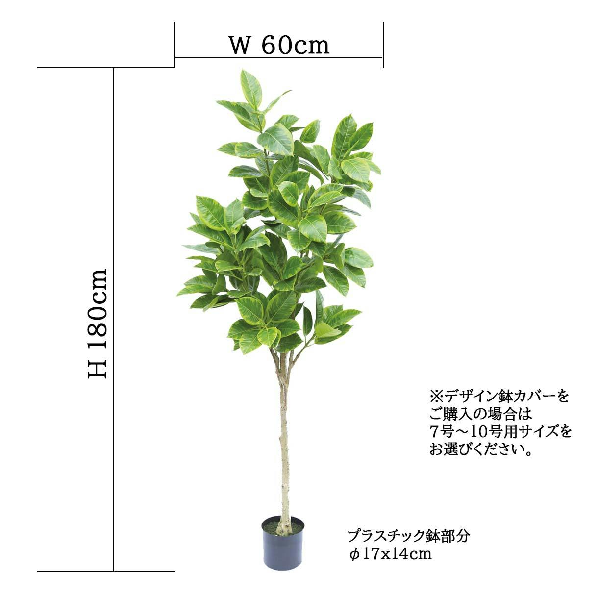 GREEN COFFRET アルテシマ180cm 人工観葉植物 フェイクグリーン GREEN COFFRET アルテシマ180cm 人工観葉植物 フェイクグリーン
