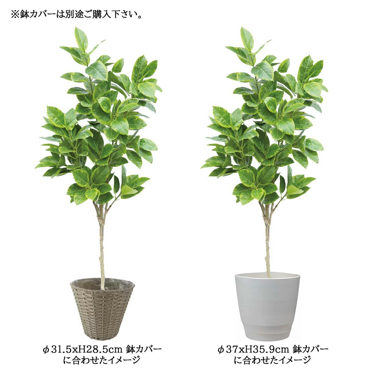 光触媒　人工観葉植物　ウォールグリーン　フェイクグリーン　アルテシマエレガンス2 光触媒 光の楽園 アルテシマDX 1.6m【インテリア フェイク