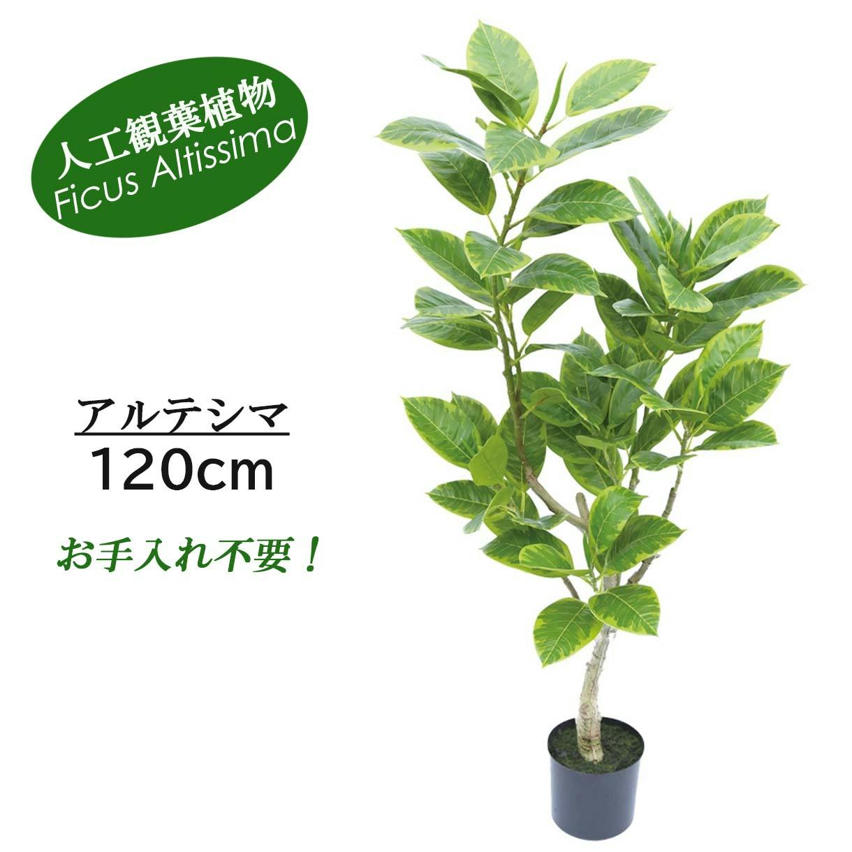 GREEN COFFRET アルテシマ120cm 人工観葉植物 フェイクグリーン