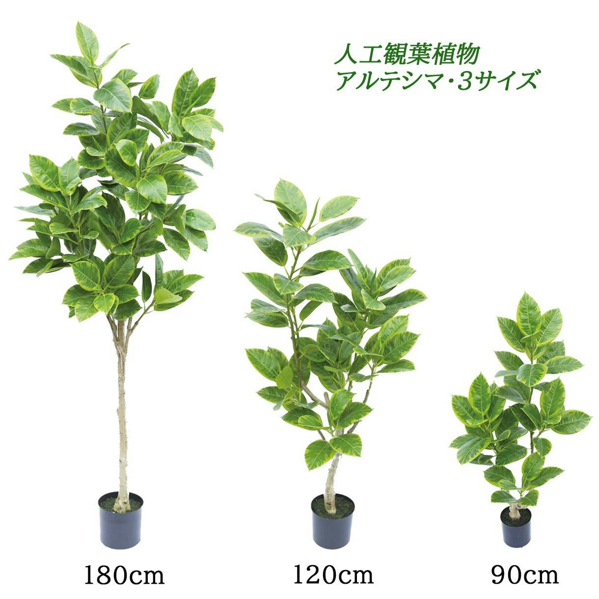 GREEN COFFRET アルテシマ120cm 人工観葉植物 フェイクグリーン