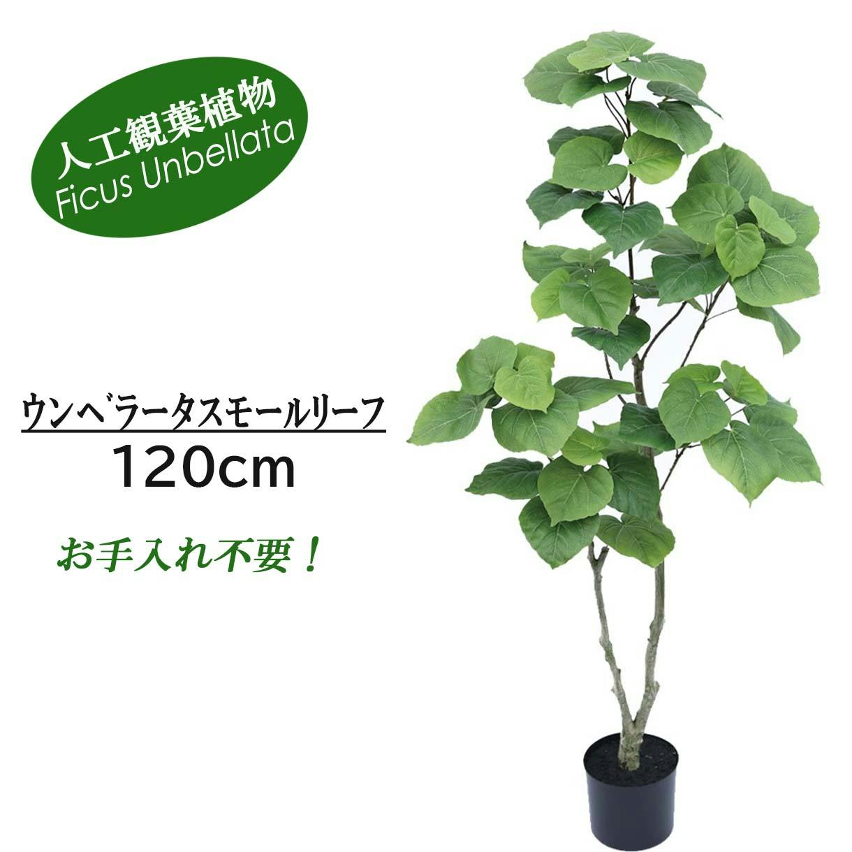 ウンベラータ スリムプランター H79cm 観葉植物 フェイクグリーン