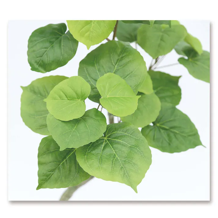 GREEN COFFRET ウンベラータスモールリーフ90cm 人工観葉植物 フェイクグリーン インテリアグリーン JT-144-4-90【別送品】