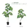GREEN COFFRET ウンベラータスモールリーフ90cm 人工観葉植物 フェイクグリーン インテリアグリーン JT-144-4-90【別送品】