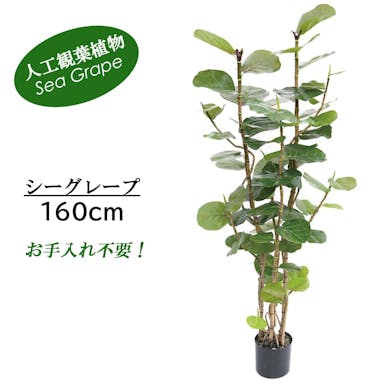 GREEN COFFRET シーグレープ160cm 人工観葉植物 フェイクグリーン インテリアグリーン RI-033ＧＲ【別送品】