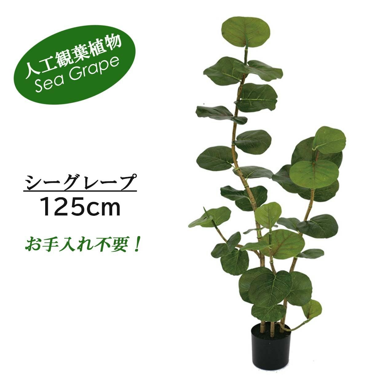 GREEN COFFRET シーグレープ125cm 人工観葉植物 フェイクグリーン 